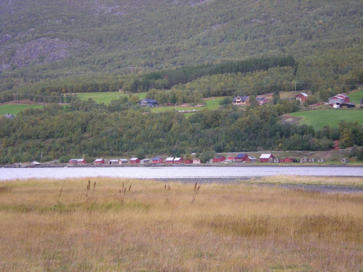 Basecamp Биртаварре Экстерьер фото